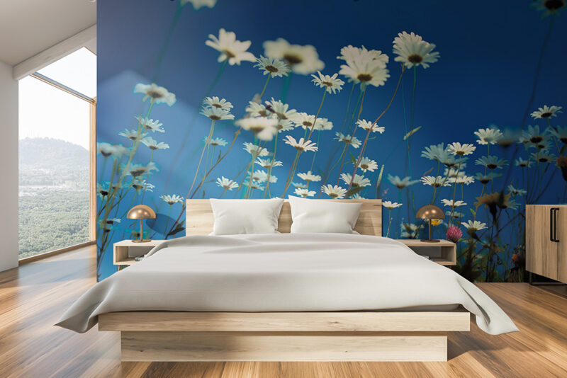 Tapete Margeritenwiese