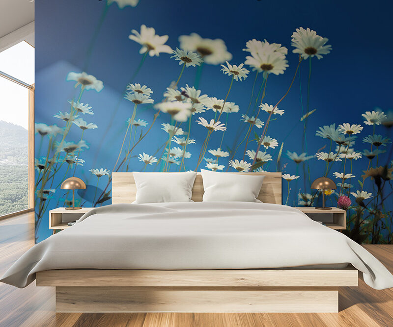 Tapete Margeritenwiese