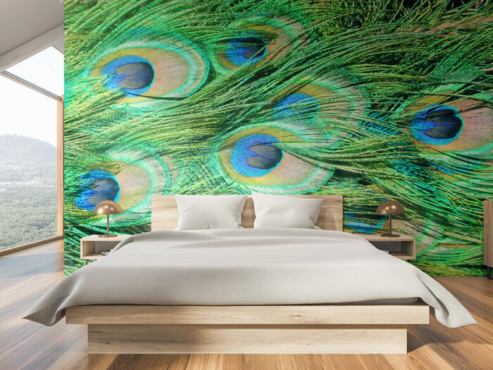 Tapete Pfauenfedern