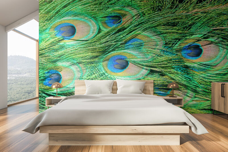 Tapete Pfauenfedern