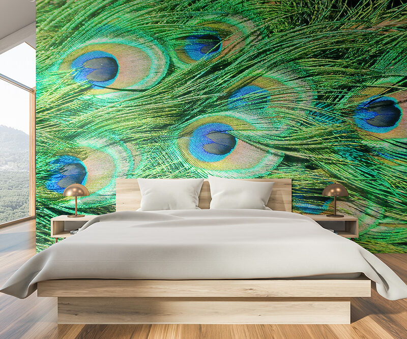 Tapete Pfauenfedern