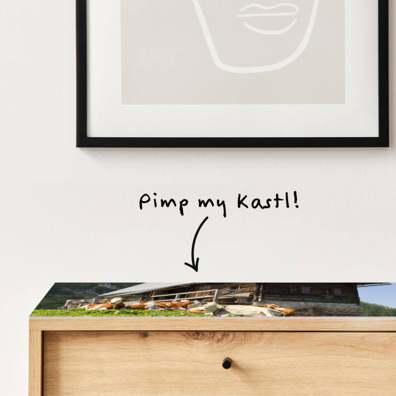 Auflegeglas für Kommoden Almhütte