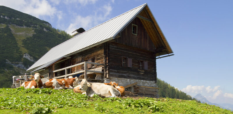 Bettkopfteil Almhütte