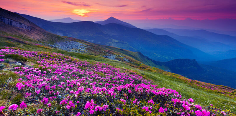 Bettkopfteil Bergpanorama