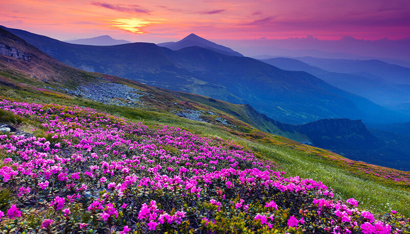 Bettkopfteil Bergpanorama