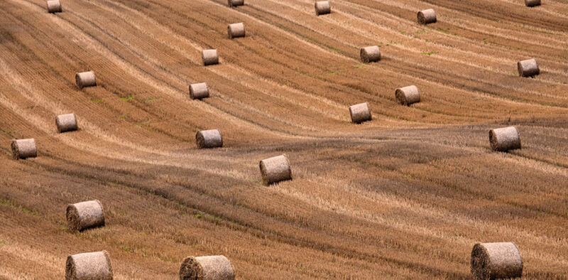 Bettkopfteil Heuballen