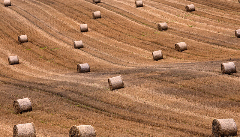 Bettkopfteil Heuballen