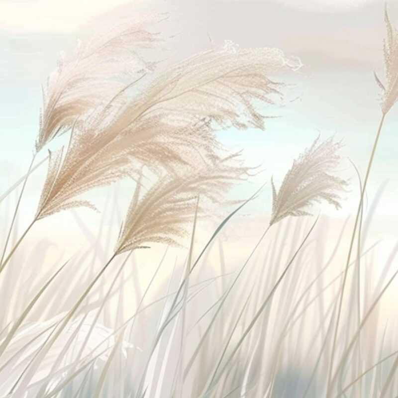 Detail_leises-schilf Tapete Leises Schilf