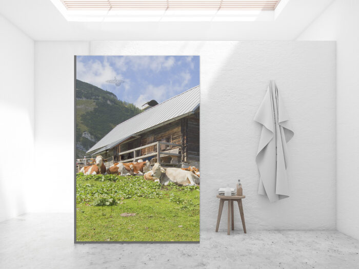 Duschtrennwand für Walk-in Duschen Almhütte