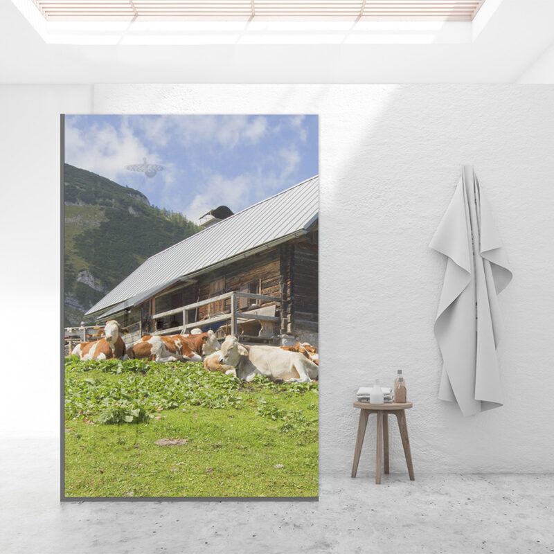 Duschtrennwand für Walk-in Duschen Almhütte