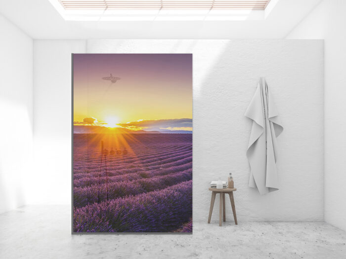 Duschtrennwand für Walk-in Duschen Lavendelfeld