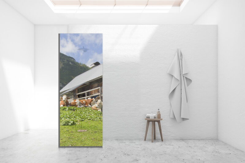 Duschtrennwand für Walk-in Duschen Almhütte