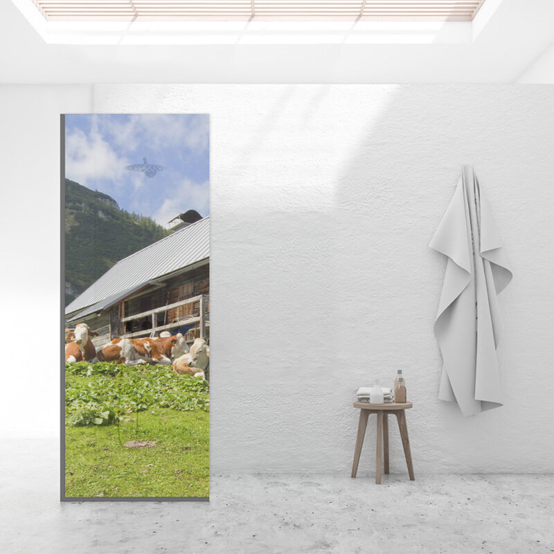 Duschtrennwand für Walk-in Duschen Almhütte