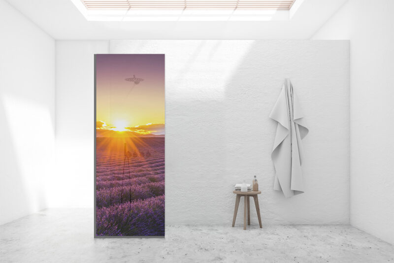 Duschtrennwand für Walk-in Duschen Lavendelfeld