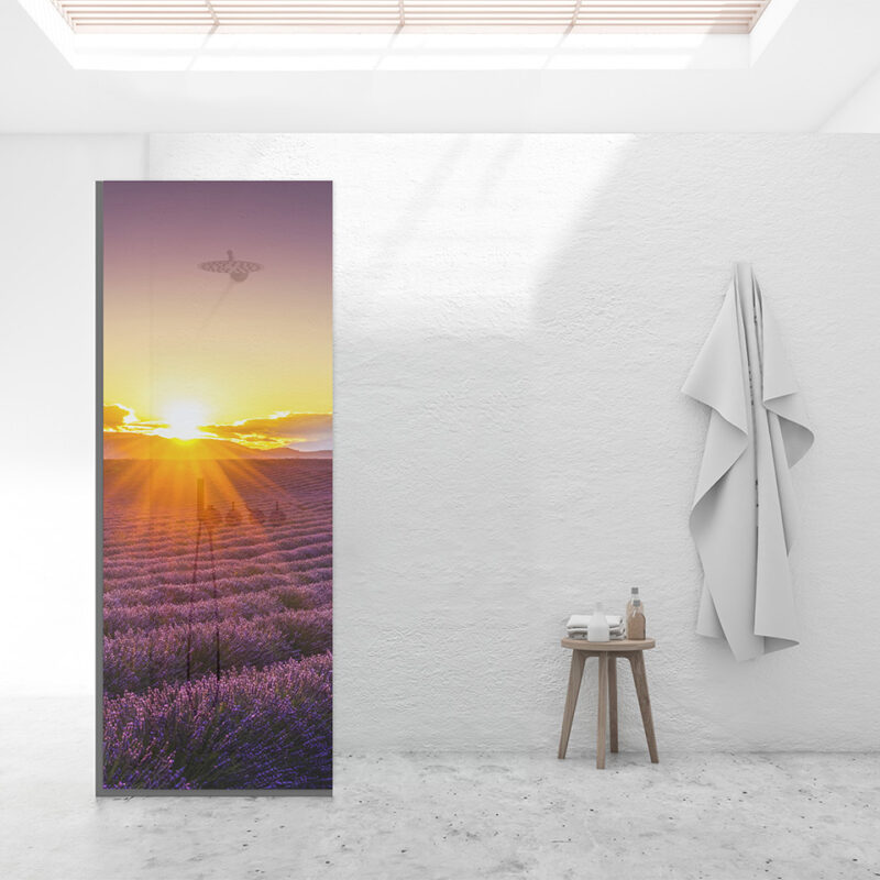 Duschtrennwand für Walk-in Duschen Lavendelfeld