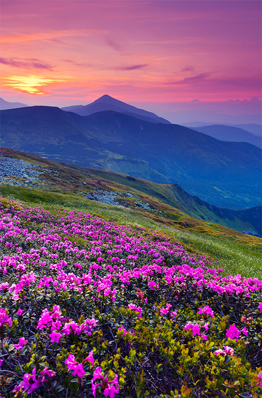 Duschtrennwand für Walk-in Duschen Berglandschaft