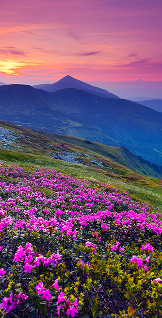 Duschtrennwand für Badewannen Berglandschaft
