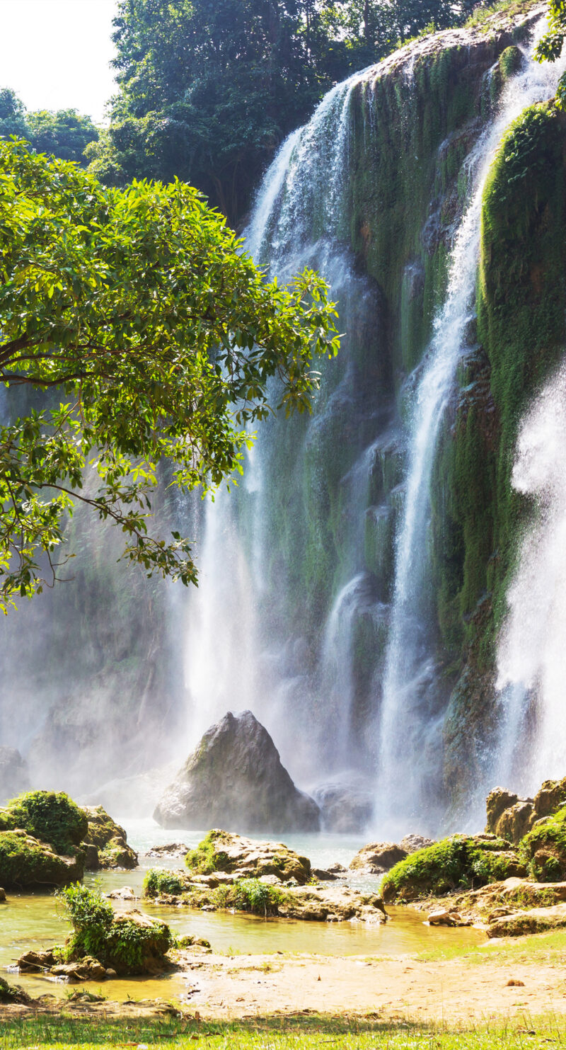 Wandverkleidung Ewiges Rauschen