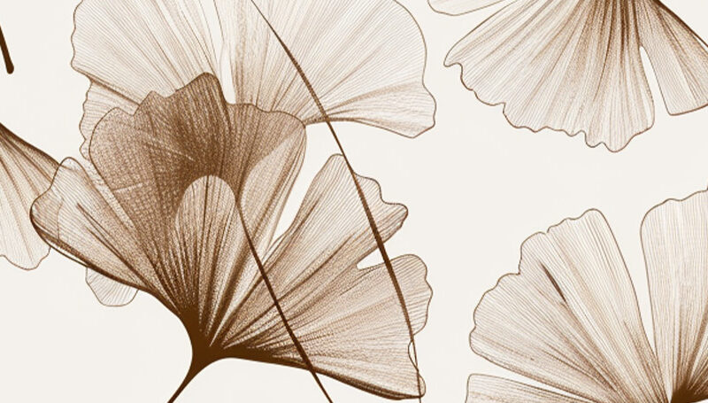 Küchenrückwand GInkgo Studie