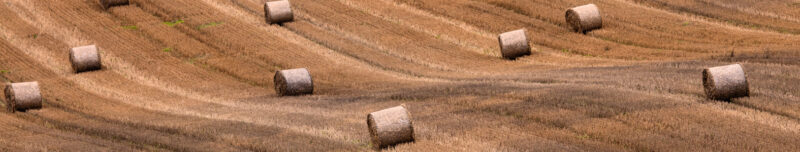 Auflegeglas für Kommoden Heuballen