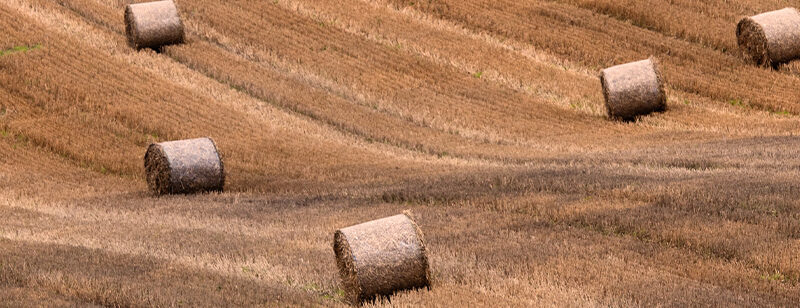 Auflegeglas für Kommoden Heuballen