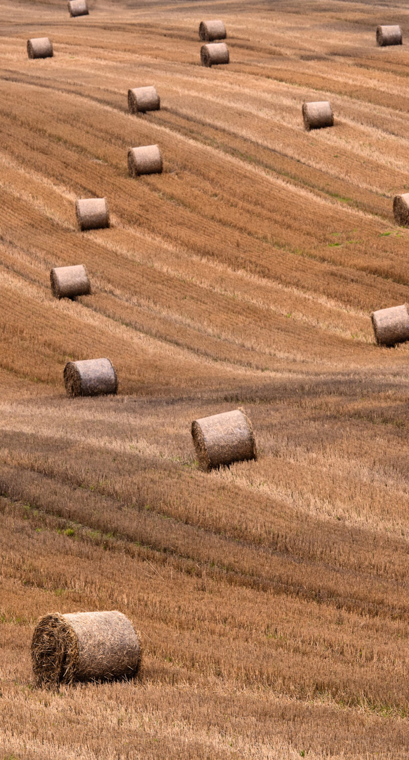 Wandverkleidung Heuballen