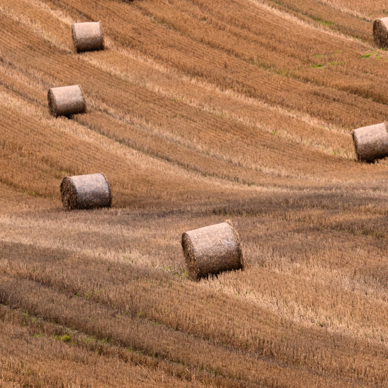 Wandverkleidung Heuballen
