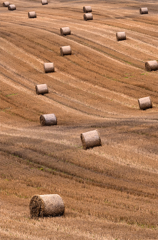 Duschtrennwand für Walk-in Duschen Heuballen
