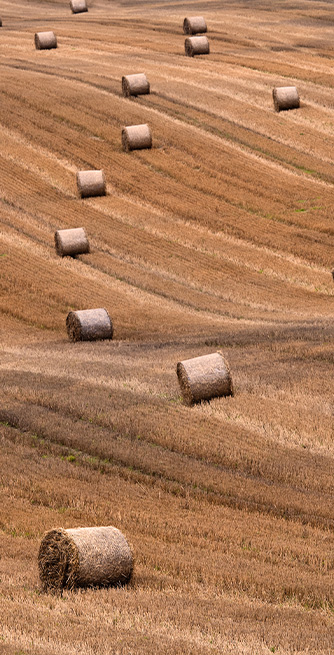 Duschtrennwand für Badewannen Heuballen