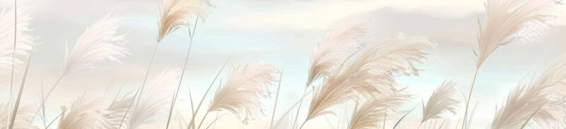 Küchenrückwand Leises Schilf