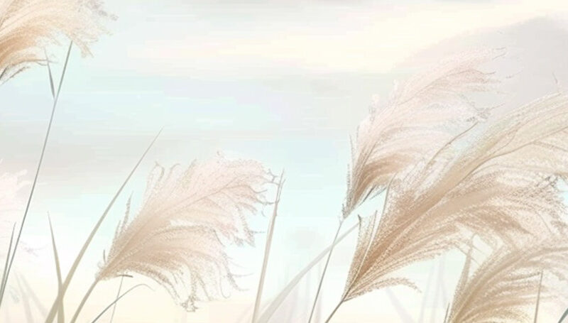 Küchenrückwand Leises Schilf