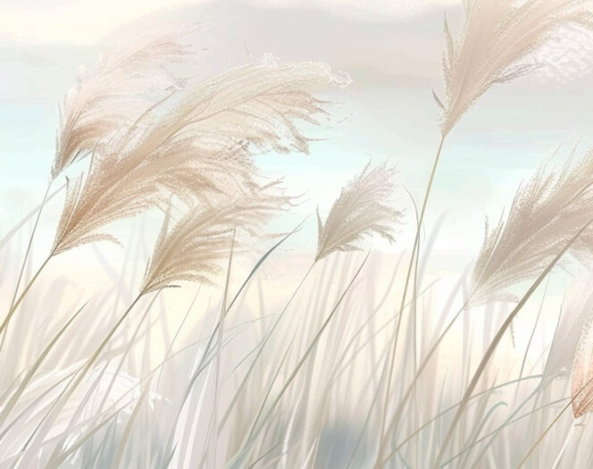 Motiv_Leises-Schilf_60x60 Spritzschutz Leises Schilf