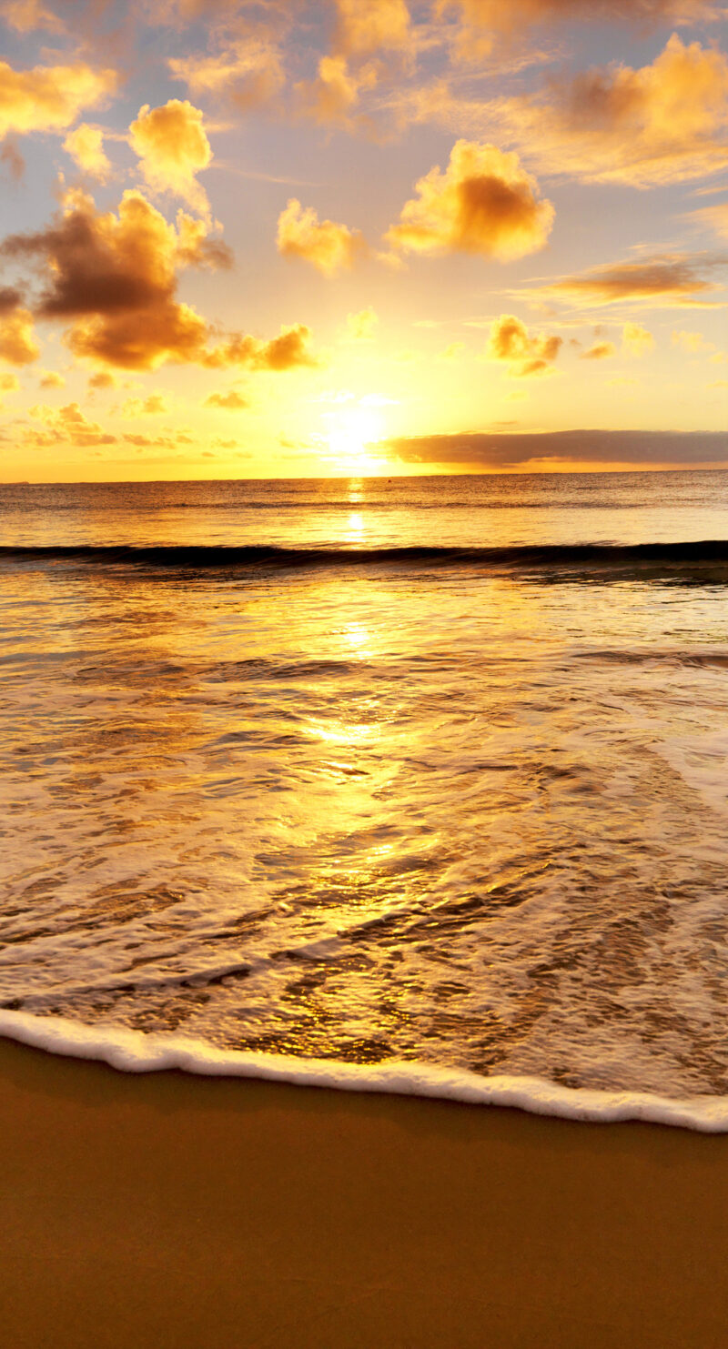 Wandverkleidung Meeresstrand