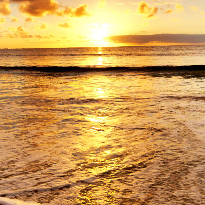 Wandverkleidung Meeresstrand