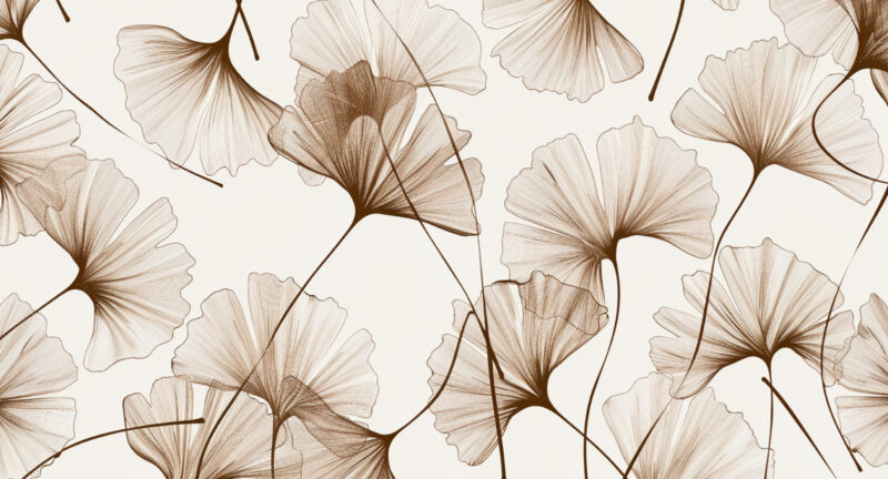 Tapete Ginkgo Studie