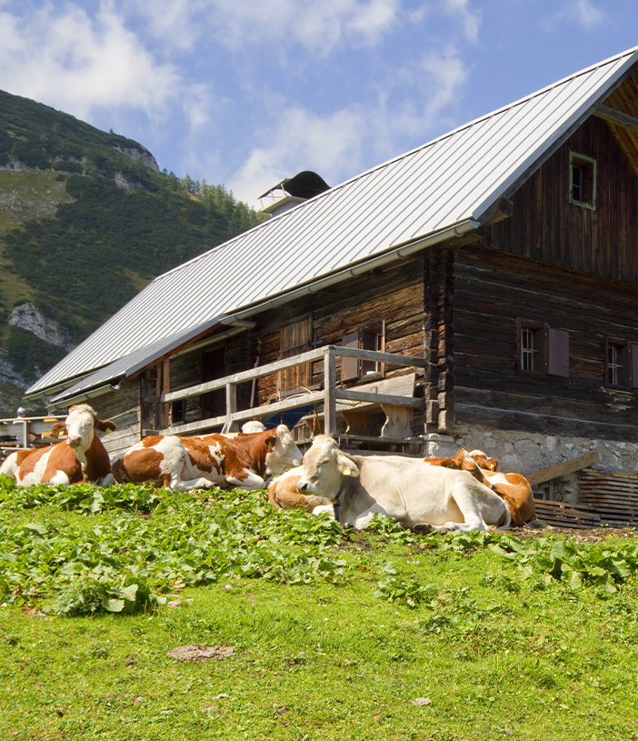 Rollo Almhütte