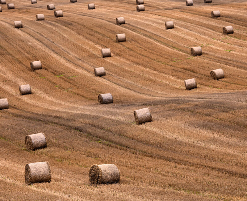 Flächenvorhang Heuballen