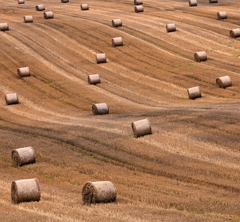 Flächenvorhang Heuballen