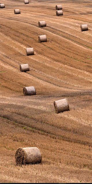 Sichtschutz Trennwand Heuballen