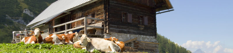 Küchenrückwand Almhütte