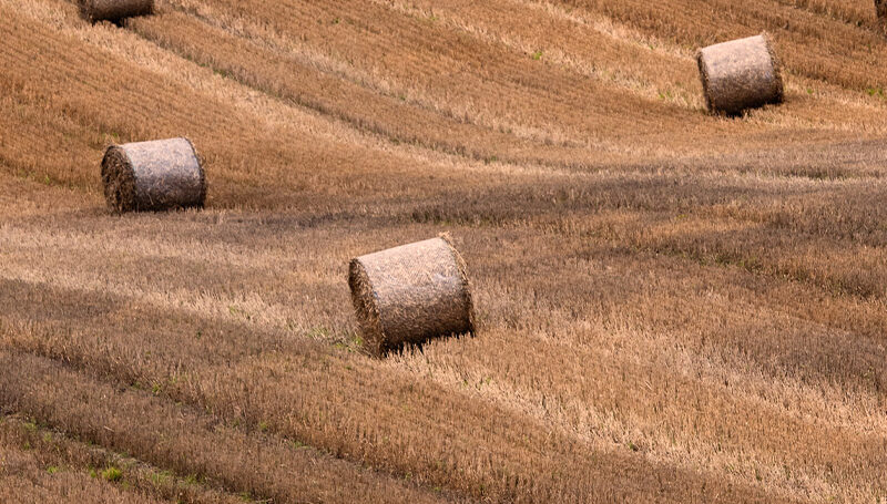 Küchenrückwand Heuballen