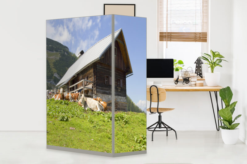 HomeOffice Sichtschutz Paravent Almhütte
