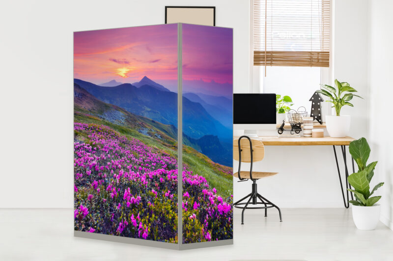 HomeOffice Sichtschutz Paravent Bergpanorama