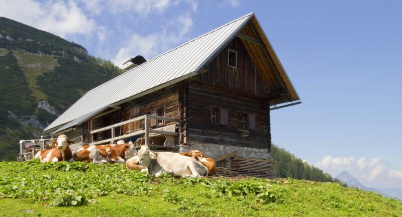 Tapete Almhütte