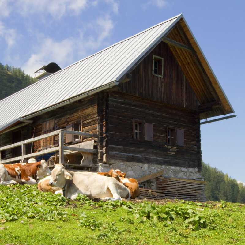 Tapete Almhütte