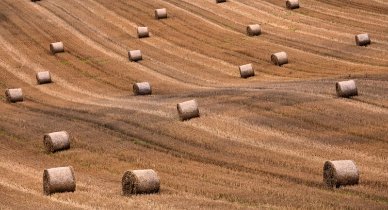 Tapete Heuballen
