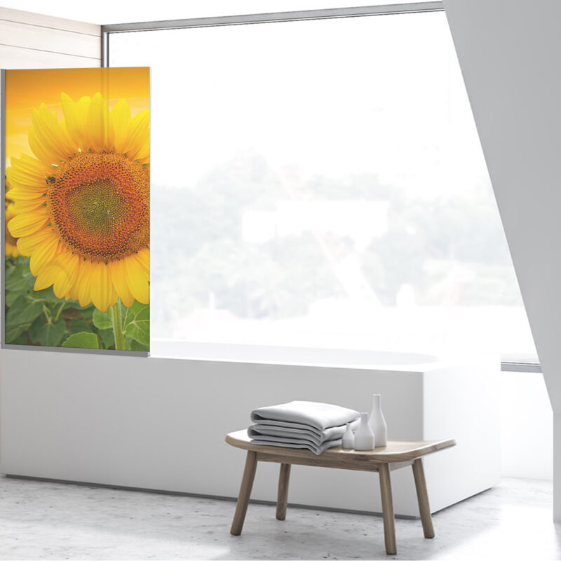 Duschtrennwand für Badewannen Sonnenblume
