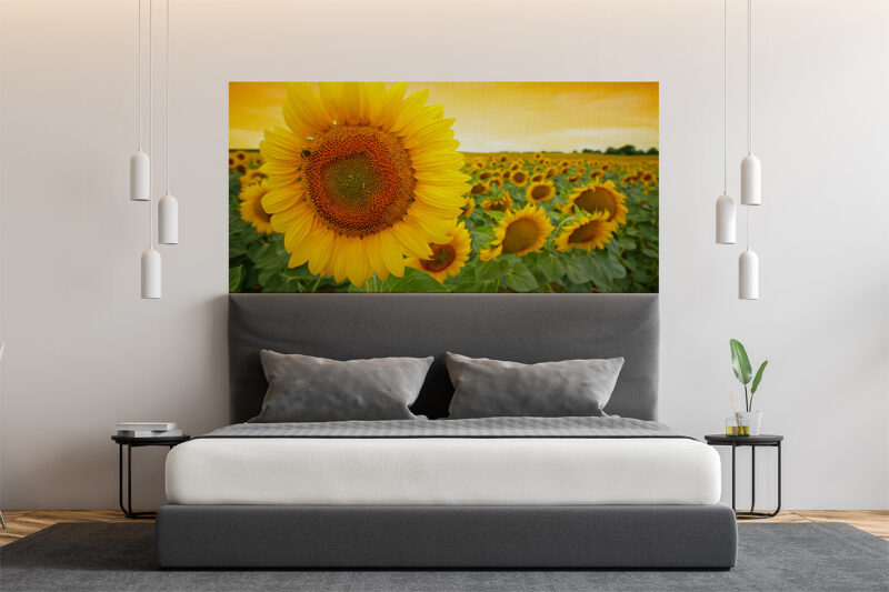 Bettkopfteil Sonnenblume