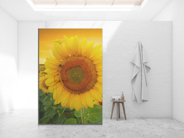 Duschtrennwand_140x120_Sonnenblume Duschtrennwand für Walk-in Duschen Sonnenblume