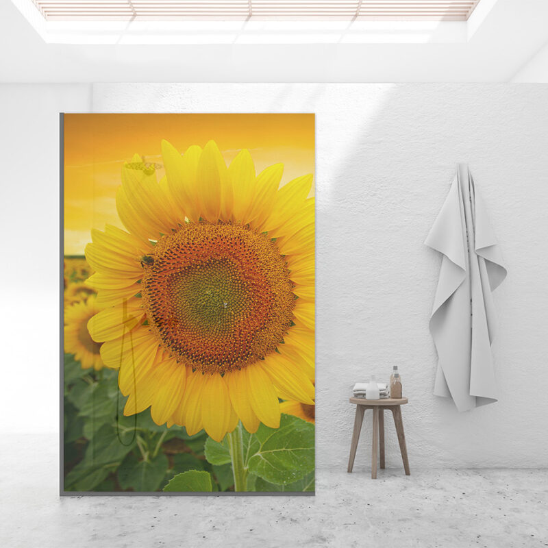Duschtrennwand für Walk-in Duschen Sonnenblume